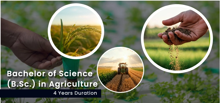 Direct Bachelor of Science (B.Sc.) in Agriculture in Delhi