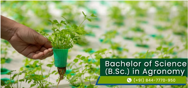Direct Bachelor of Science (B.Sc.) in Agronomy in Delhi