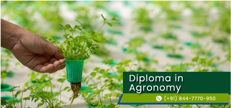 Direct Diploma in Agronomy in Delhi