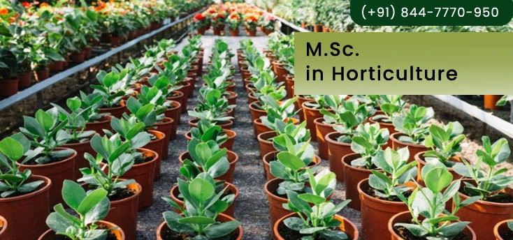 Direct Master of Science (M.Sc.) in Horticulture in Delhi